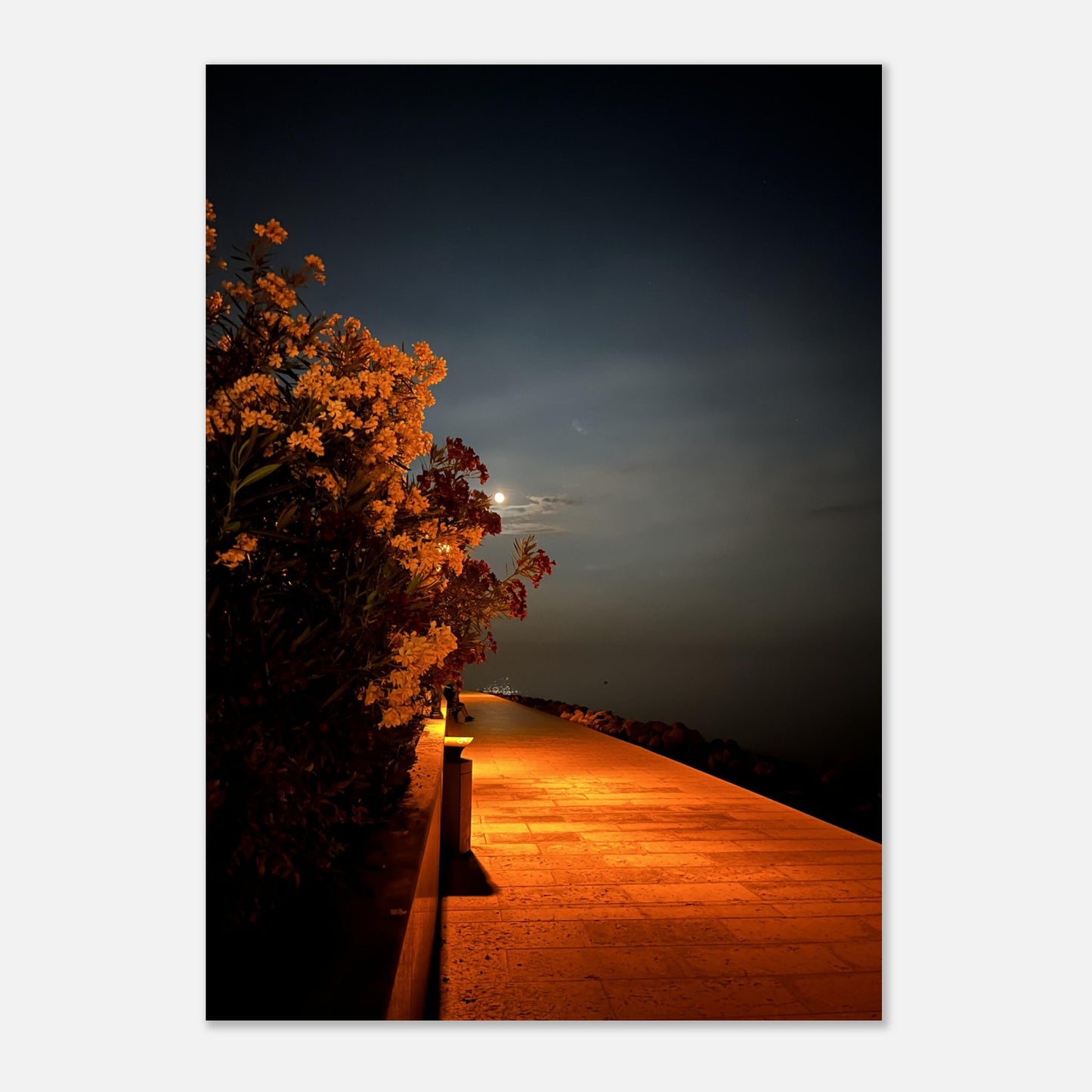 63f021d0-1103-4f7b-af1a-09a5f7a9ec86