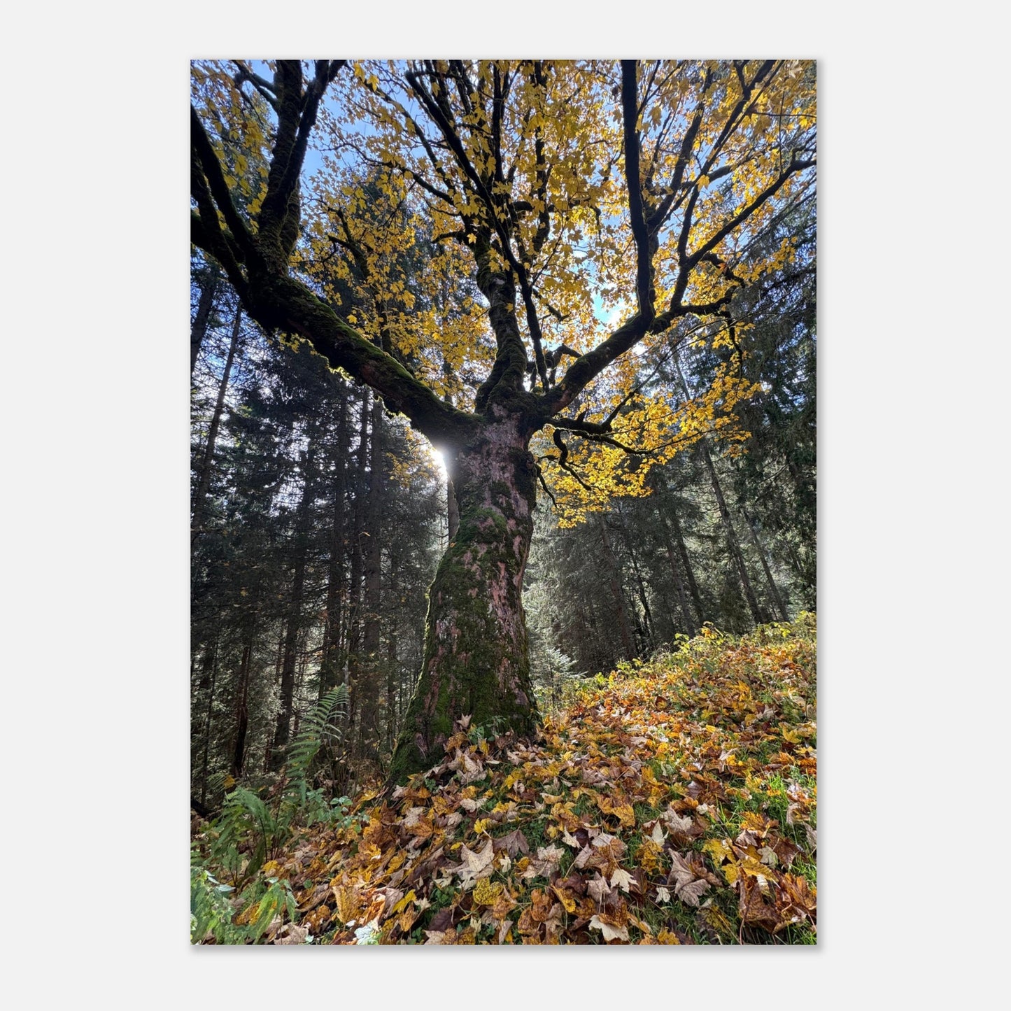 7ce84149-fea8-453f-8b07-3b5927a61d79