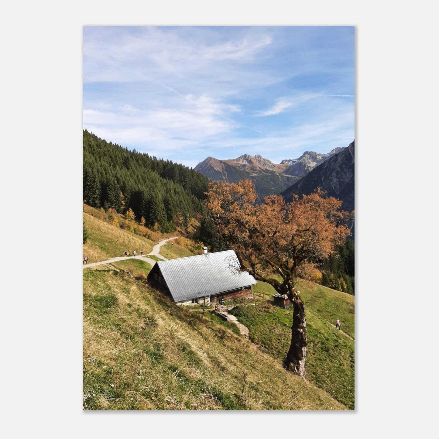 a427b89d-edf2-400a-94d0-9be315c4a20b