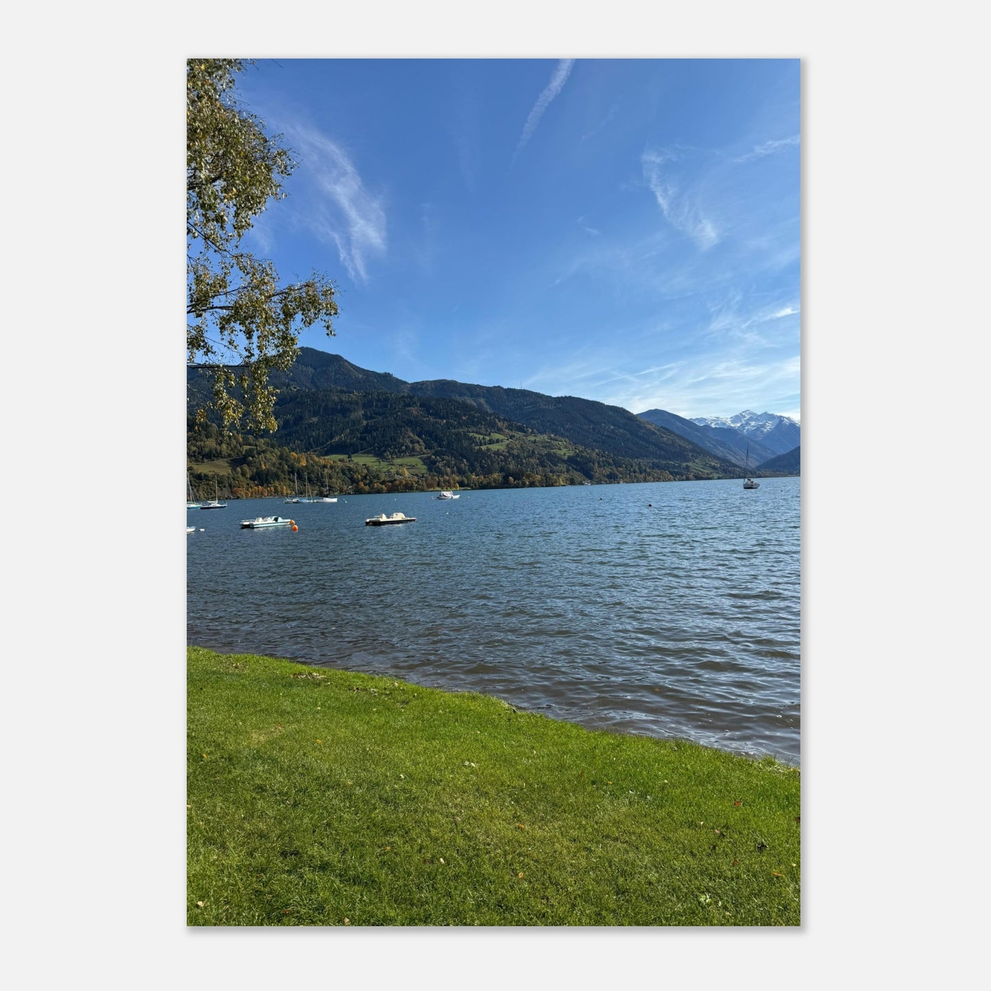 115ac709-94dd-43aa-9e25-772f1a732efe