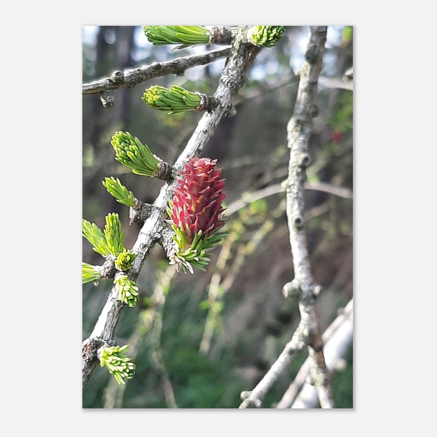 3fdef8d2-62cc-49ca-92fa-9bf719c60825