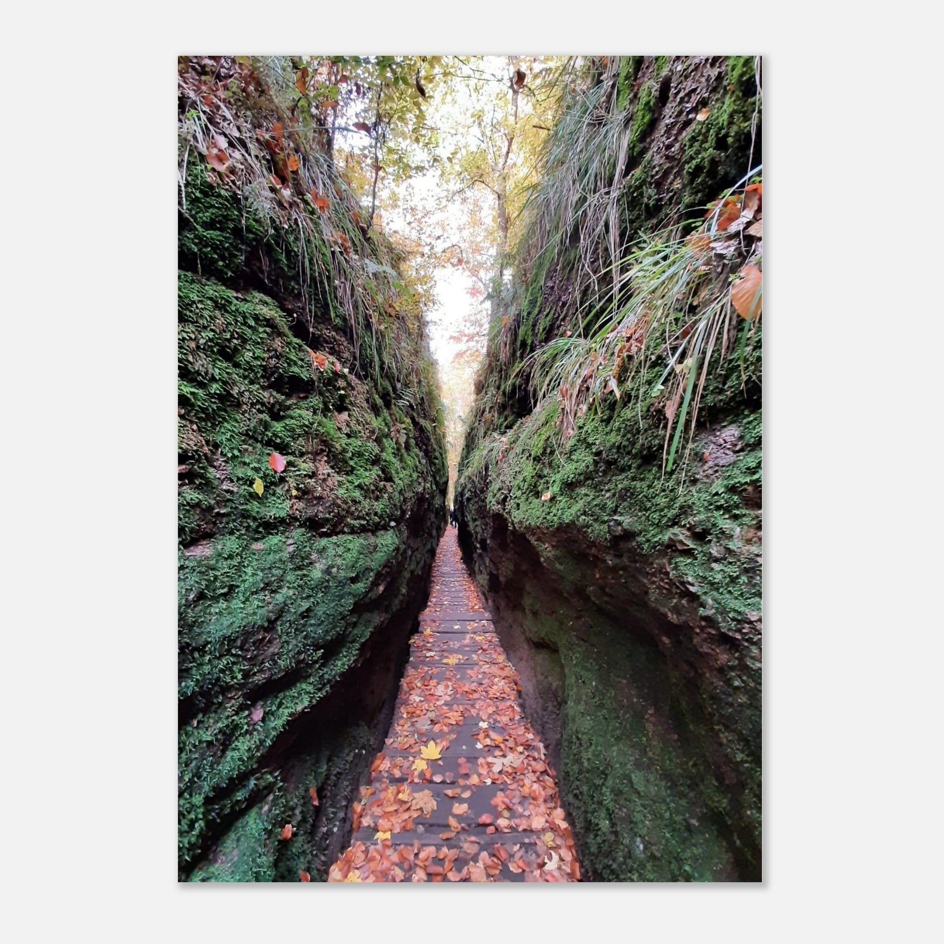 6c5e07fb-5012-4820-8ad1-def9ca14fdcd