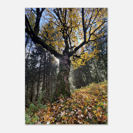 7ce84149-fea8-453f-8b07-3b5927a61d79