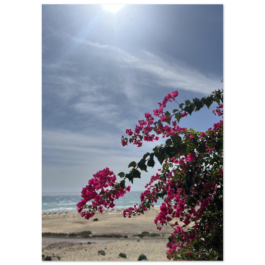 d9eeb3ed-8146-4e97-9b2e-8bec7eb24558